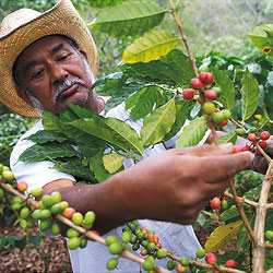 Колумбийский фермер