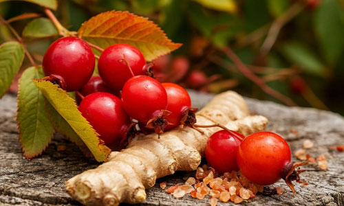 Плоды шиповника и имбирь