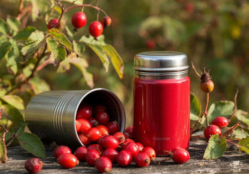 Шиповник заваренный в термосе