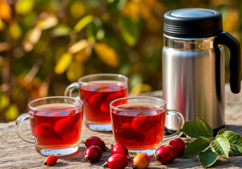 Настой шиповника из термоса