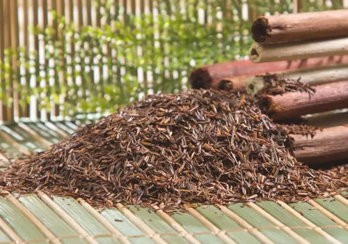 Ройбуш Ройбуш