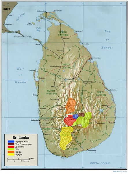 Плантации чая Шри-Ланка