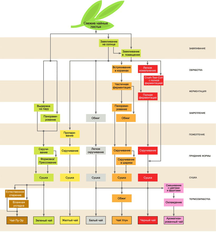 Схема производства чая