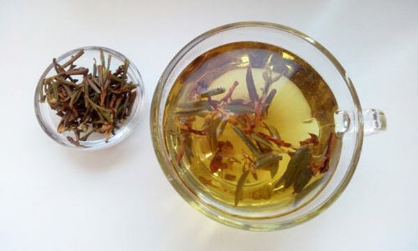 Чем полезен чай саган дайля: что это за сорт, противопоказания и полезные свойства напитка