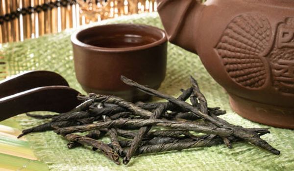 Чай Кудин: полезные свойства и противопоказания напитка