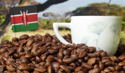 Кофе в зёрнах Santa Fe «Кения АА»