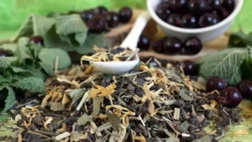 Зелёный чай с мелиссой