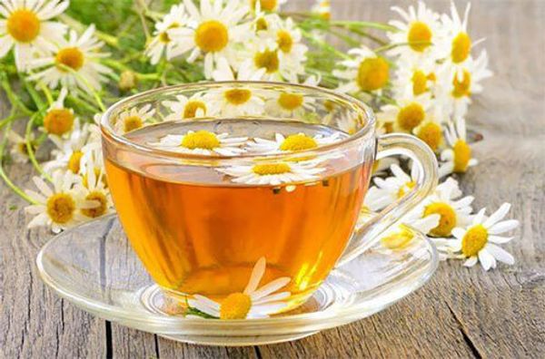 Польза и лечебные свойства ромашкового чая: чем полезна и вредна ромашка для организма человека