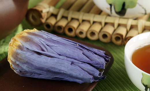 Цветы Лотоса королевского фиолетового