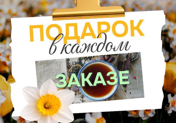 Подарки в каждом заказе Подарки в каждом заказе