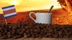 Кофе в зёрнах Santa Fe «Коста-Рика»