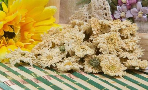 Цветы (бутоны) хризантемы