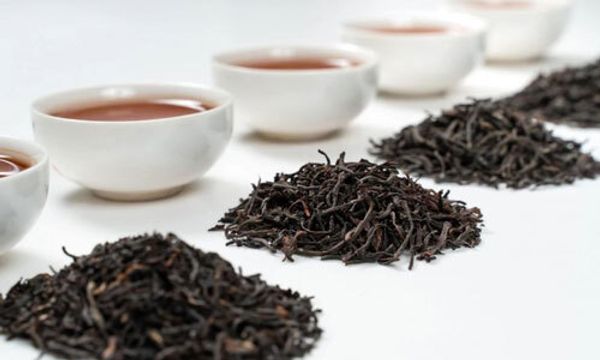 Чёрный чай – польза и вред для организма человека: чем полезен и вреден