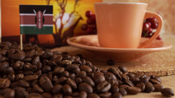 Кофе в зёрнах Santa Fe «Кения»