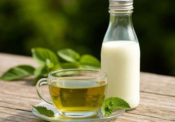 Можно ли пить зелёный чай с молоком Можно ли пить зелёный чай с молоком