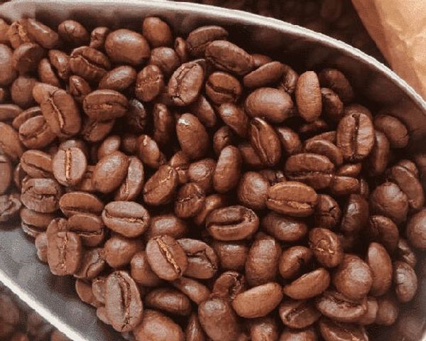Натуральный кофе в зёрнах: какой лучше выбрать?