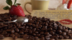 Кофе в зёрнах Santa Fe «Выбор Казановы»