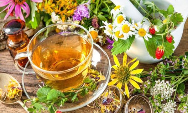 Как правильно заваривать чай с липовым цветом - рецепты и советы по приготовления напитка