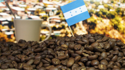 Кофе в зёрнах Santa Fe «Гондурас»