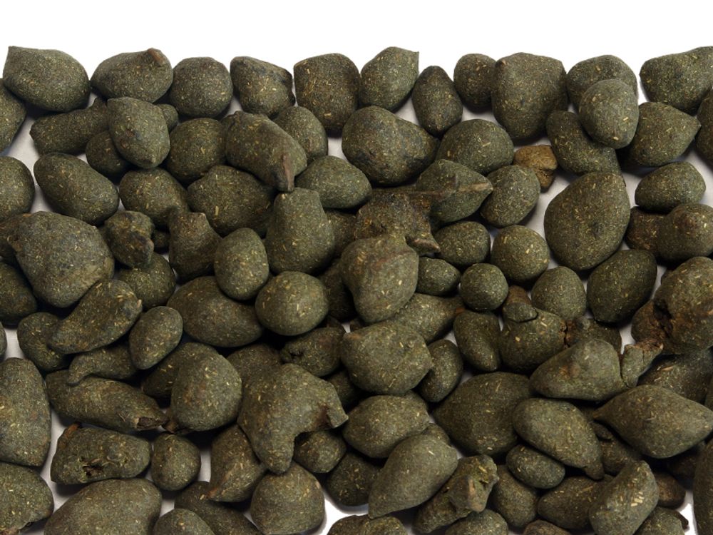 Женьшень улун