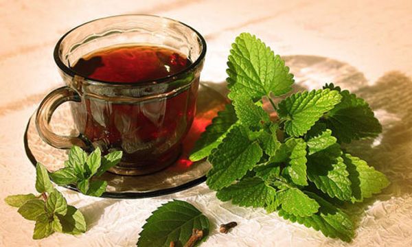 Вред и польза чая с мятой: полезные свойства и противопоказания для женщин