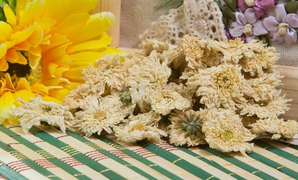 Цветы (бутоны) хризантемы