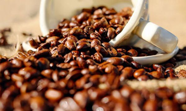 Степени обжарки кофе - на что влияют и какая прожарка лучше