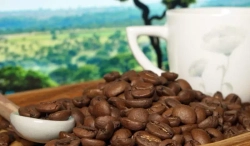 Кофе в зёрнах Santa Fe «Бразилия Серрадо»