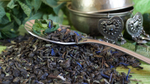 Чай зелёный «Марокканская мята»