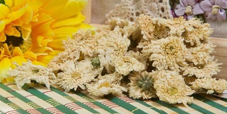 Травы и цветы для чая