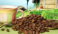 Кофе в зёрнах Santa Fe «Вьетнам DALAT»